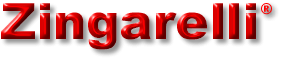 logozing.gif (9512 byte)